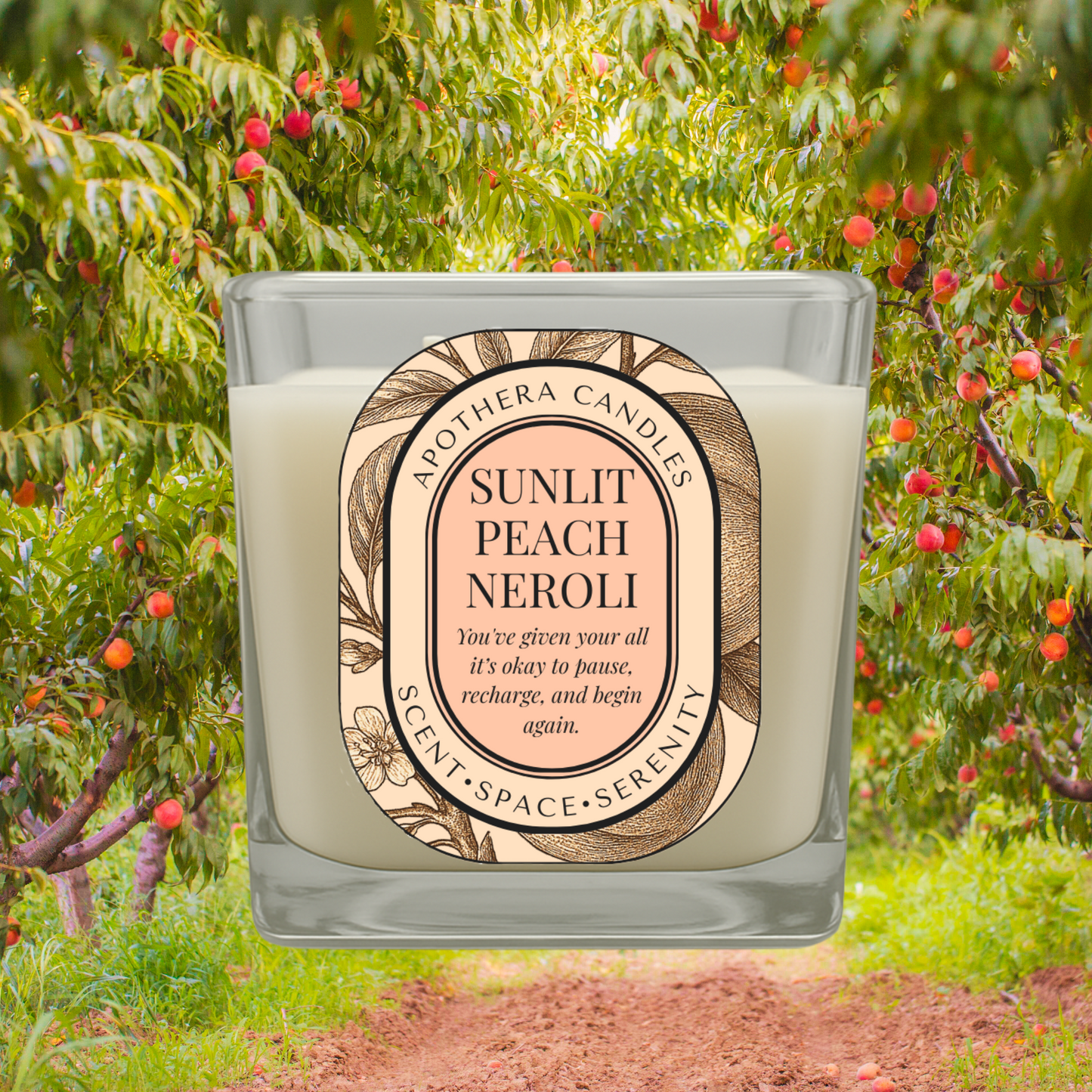 Sunlit Peach Neroli candle by ApoThera set in a vibrant peach orchard, representing a calming self-love ritual with notes of peach and neroli.